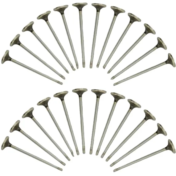 OEM Standard Size Wholesale Price Customize 3RZ Intake Exhaust for Toyota Engine Valve