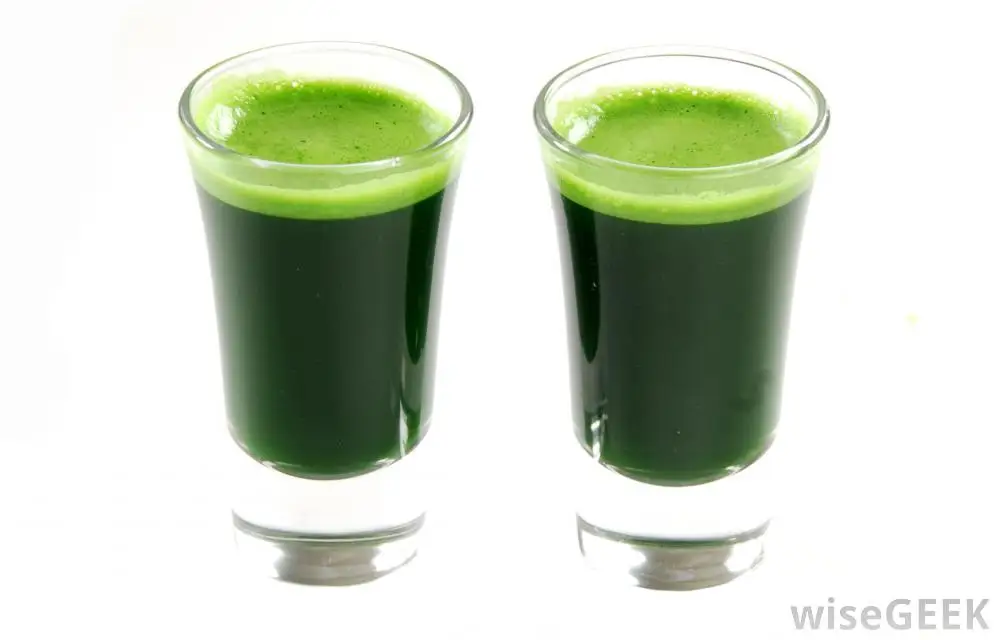 
wholesale good quality plant Leaf extract chlorophyll 