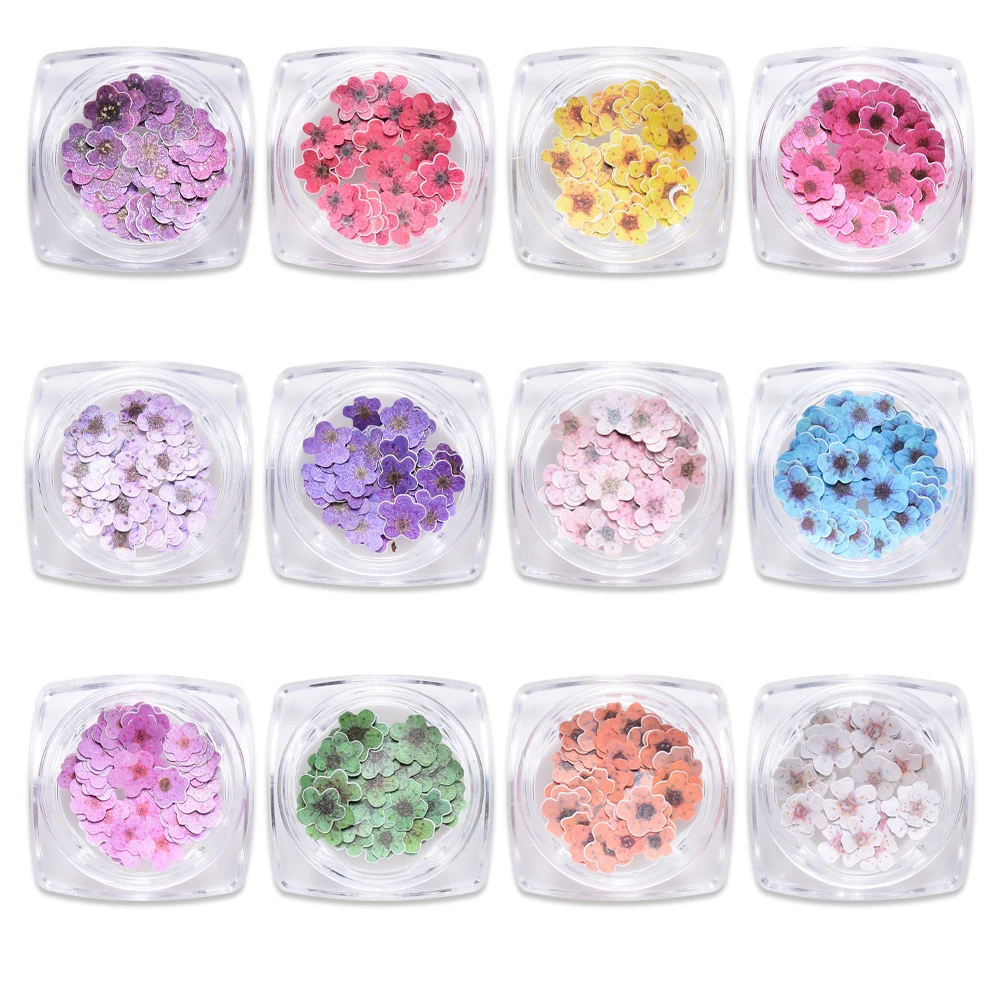12 Styles DIY Ultrathin Wood Pulp Five-petal Flower plum Blossom 3D Flowers Charms Slices Decals Spring