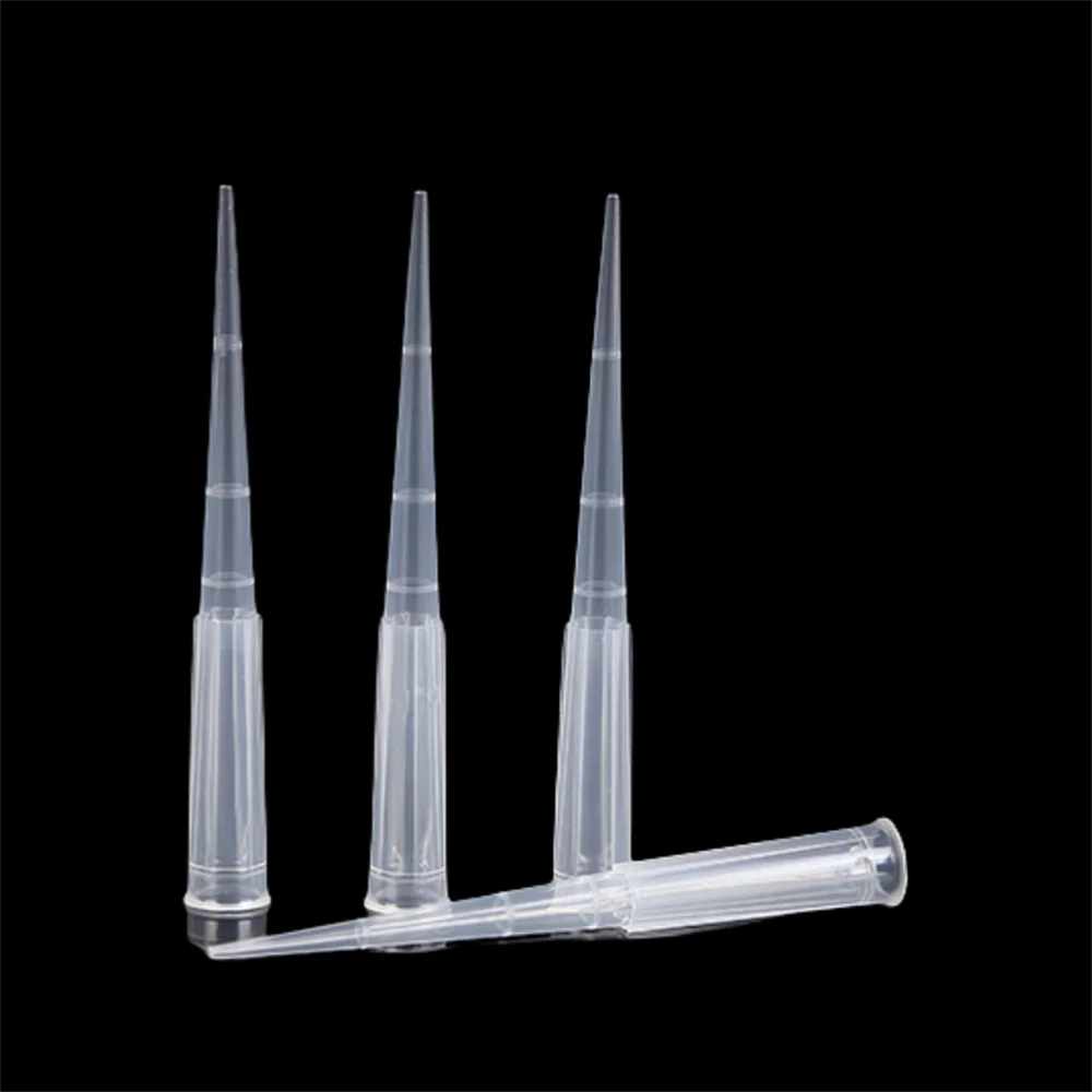 250uL Filter Tips Bagged Boxed Sterile Pipette Tips