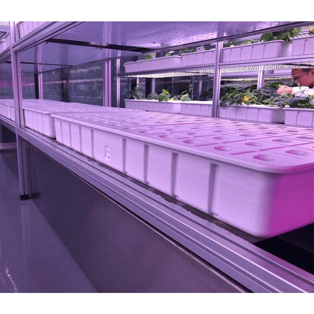 
ABS Vacuum Forming Plastic White Nursery Hydroponic Tray Flood Planting Plastic Flat Trays 