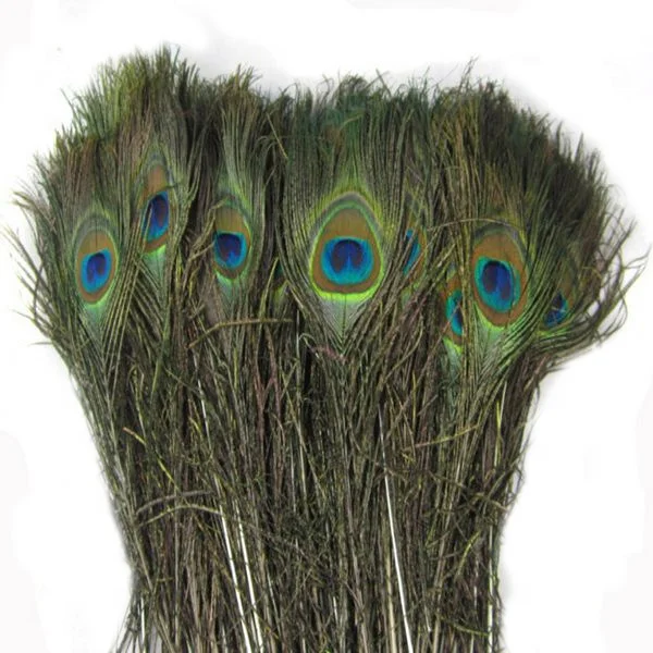 Bulk Sale Natural Long palsitic Red Peacock Feathers for Costume