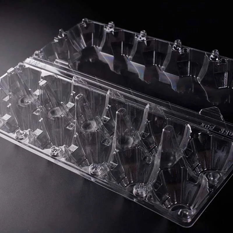 [Not Eggs Sale] Plastic 12 Cells in 2*6 Jumbo Chicken Eggs Carton in Wholesale Recyclable for Duck Eggs