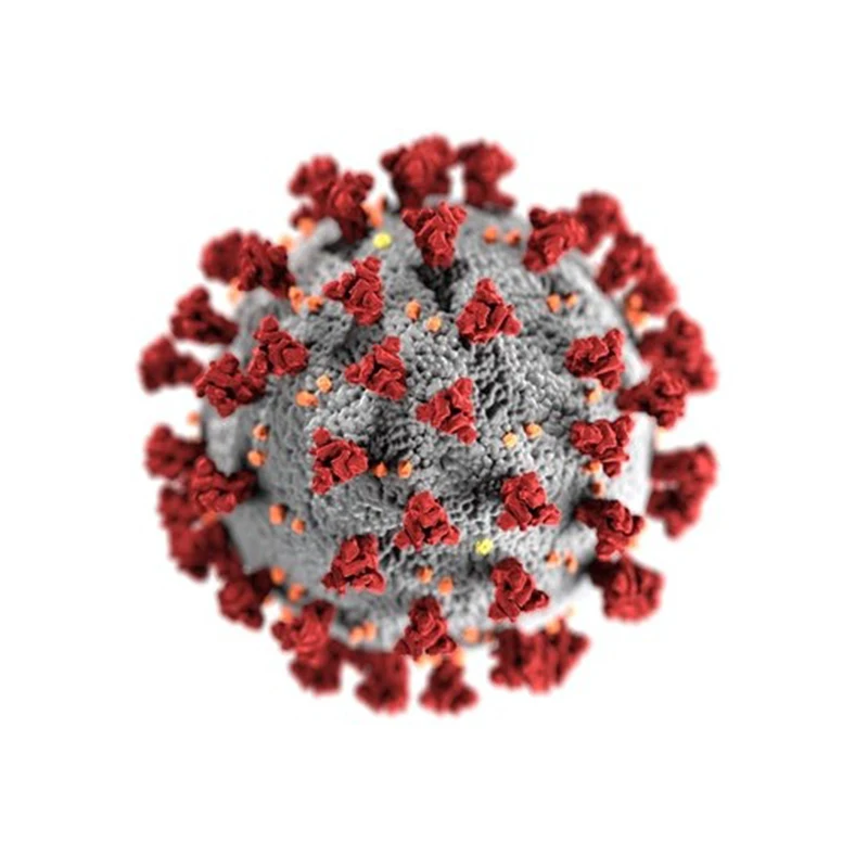 Colorless 10000ppm nano silver ion solution CAS 7440-22-4 antimicrobial colloidal nano silver