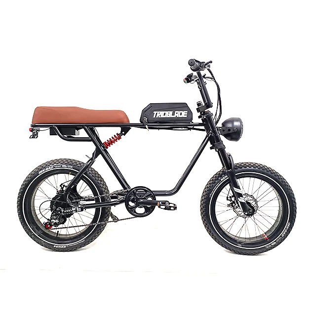 OEM Cheap Electric Bikes European Sport E Bike Bike Electric Bicycle