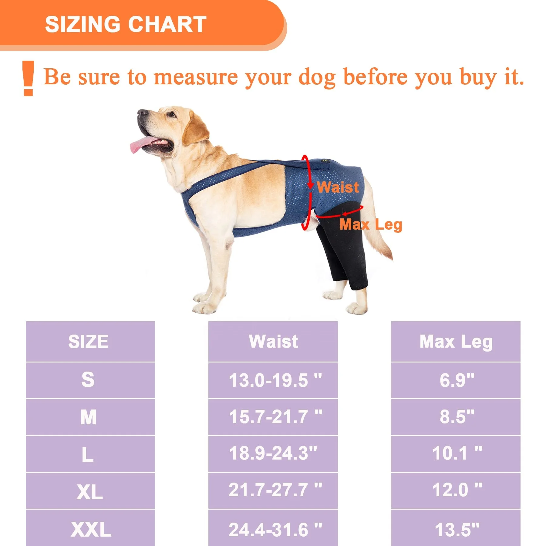 Dog Recovery Suit, Cone Collar Alternative, Abrasion Resistant Dog Recovery Rear Sleeves Washable 2.5mm Thick recovery suite