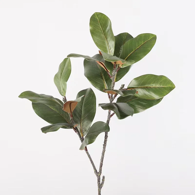 New Arrival Ins Faux Magnolia Real Touch Latex Branch Leaves Artificial Greenery For Indoor Sring Home Hotel Decoration
