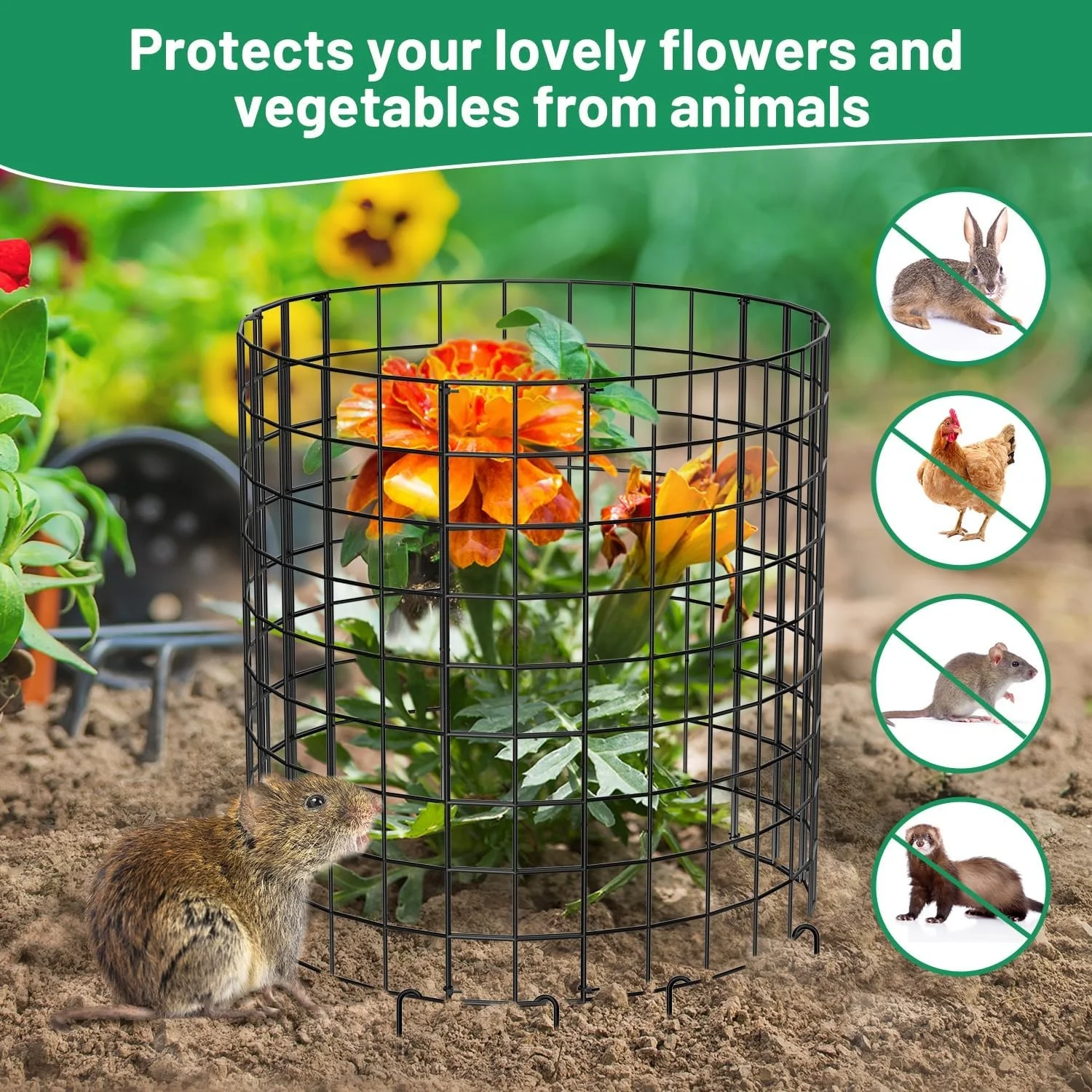 Metal Plant Cages to Keep Animals Out Garden Protection from Rabbits  for Garden Flowers Vegetables Tree Guard