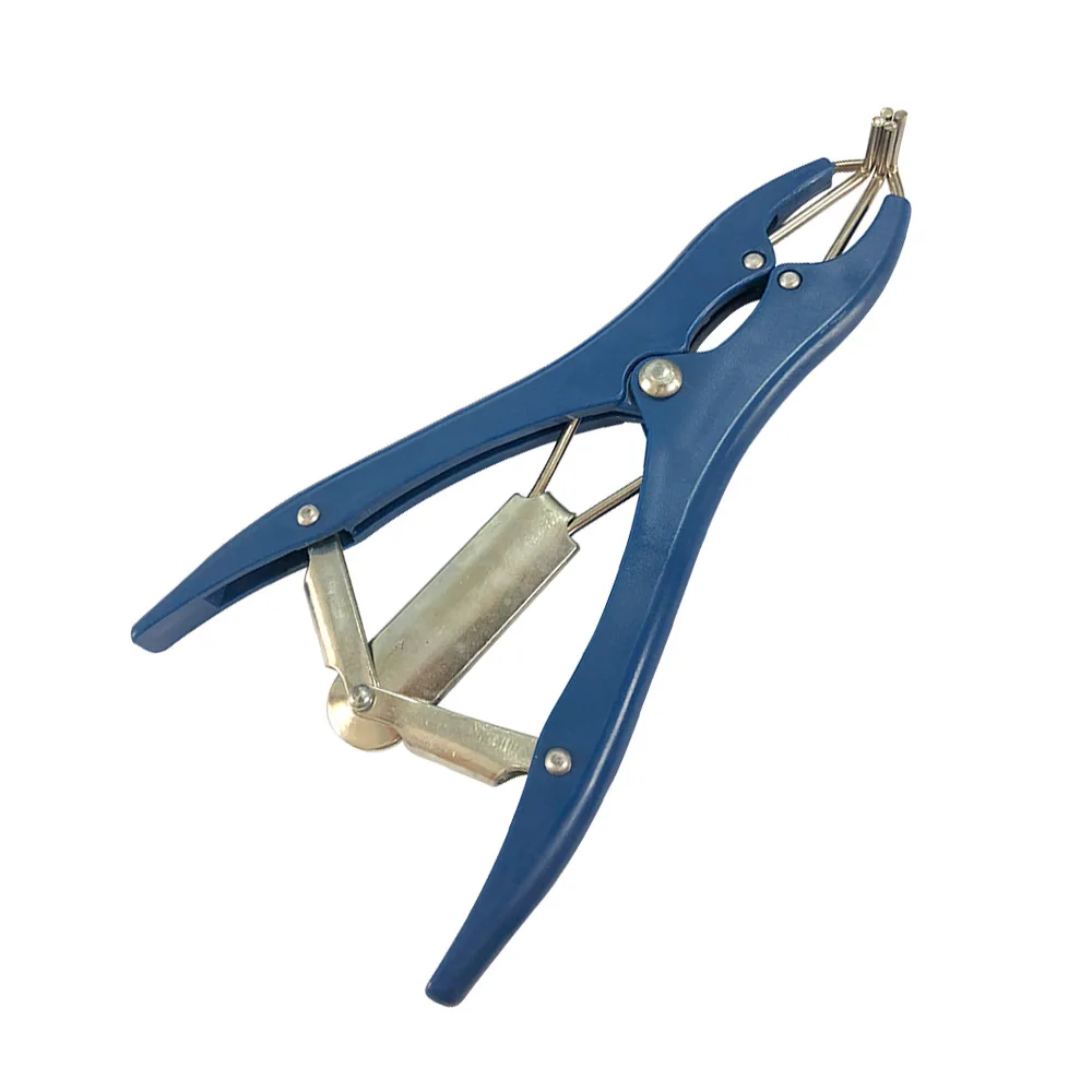 Piglets Sheep Goat Tail Goat Bloodless Castrator Bloodless Burdizzo Castration