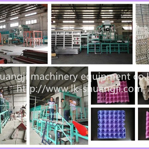 Automatic Paper Pulp Egg Tray Production Line/Small Machine Making Egg Tray