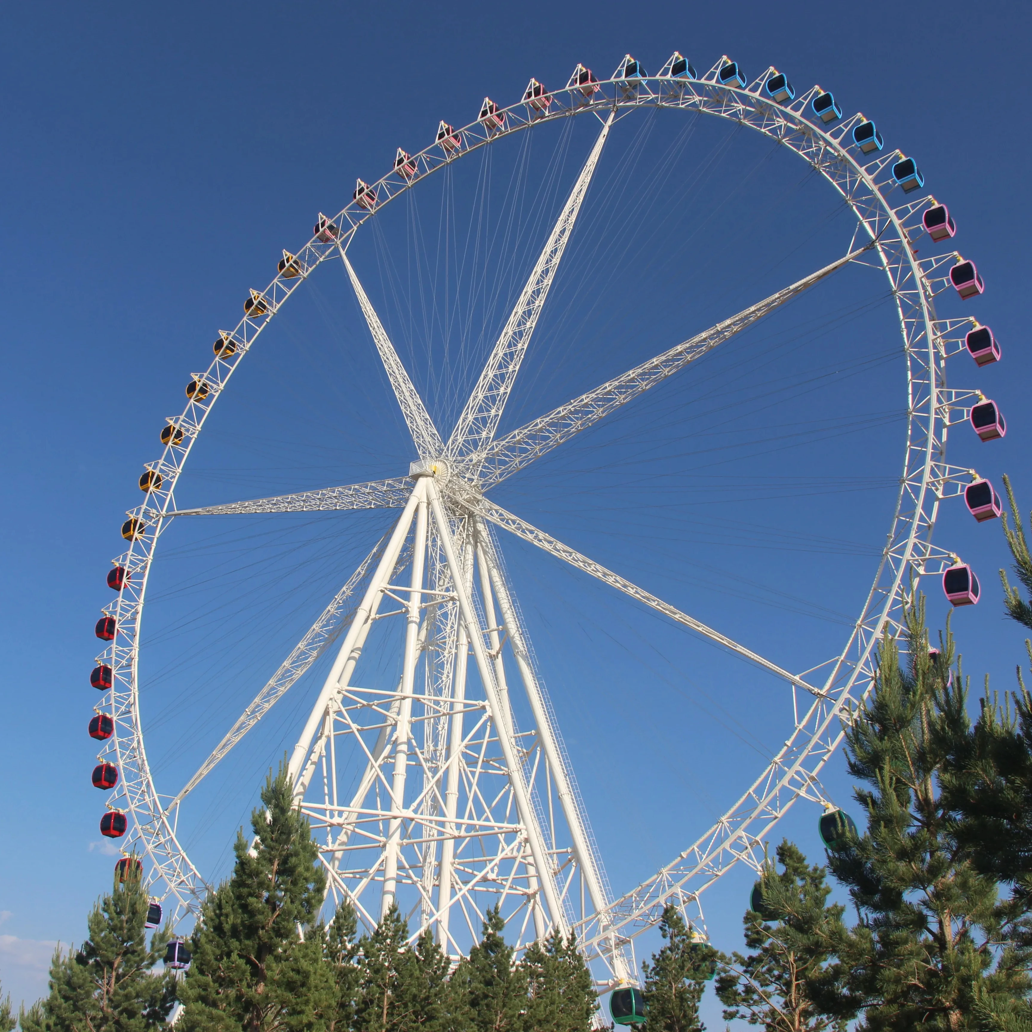 Carnival Attraction Children Wheel Customized Theme Park Games Big Ferris Wheel