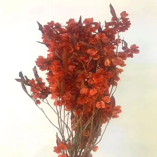 
Factory wholesale natural flower classical bouquet dried iris flower for wedding 