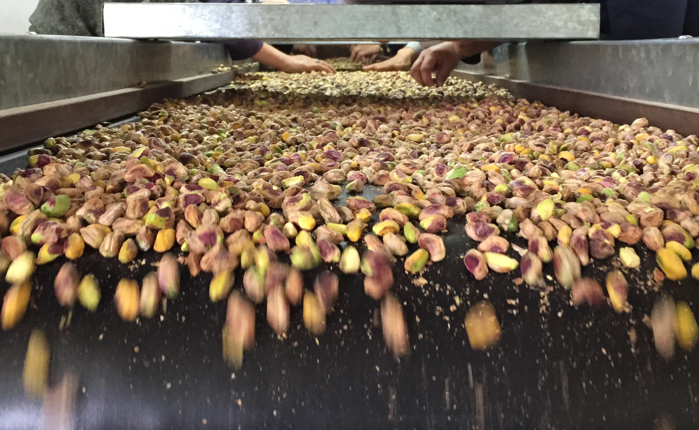 Wholesale high quality pistachio nuts kernels used in bakery products