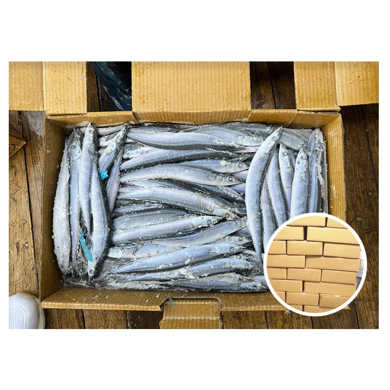 Frozen Pacific Saury Fish  Good quality  various size Cololabis saira