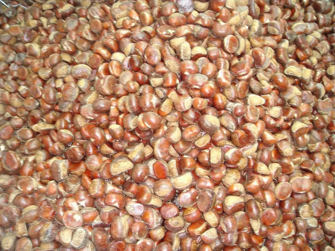 2024 new harvest chestnut 30-40 40-50pcs/kg mesh bag packed peeled chestnut for sale