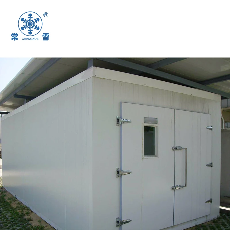 tunnel blast freezer for fish