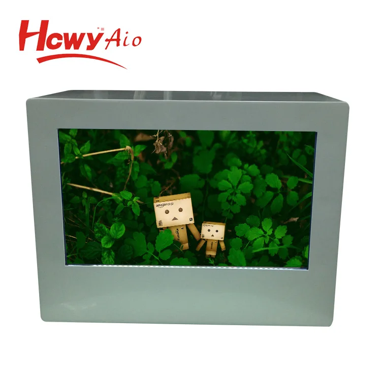 Hot Metal Case 10 inch 1024*600 Transparent LCD/LED AD Display 10' Advertising Player Display
