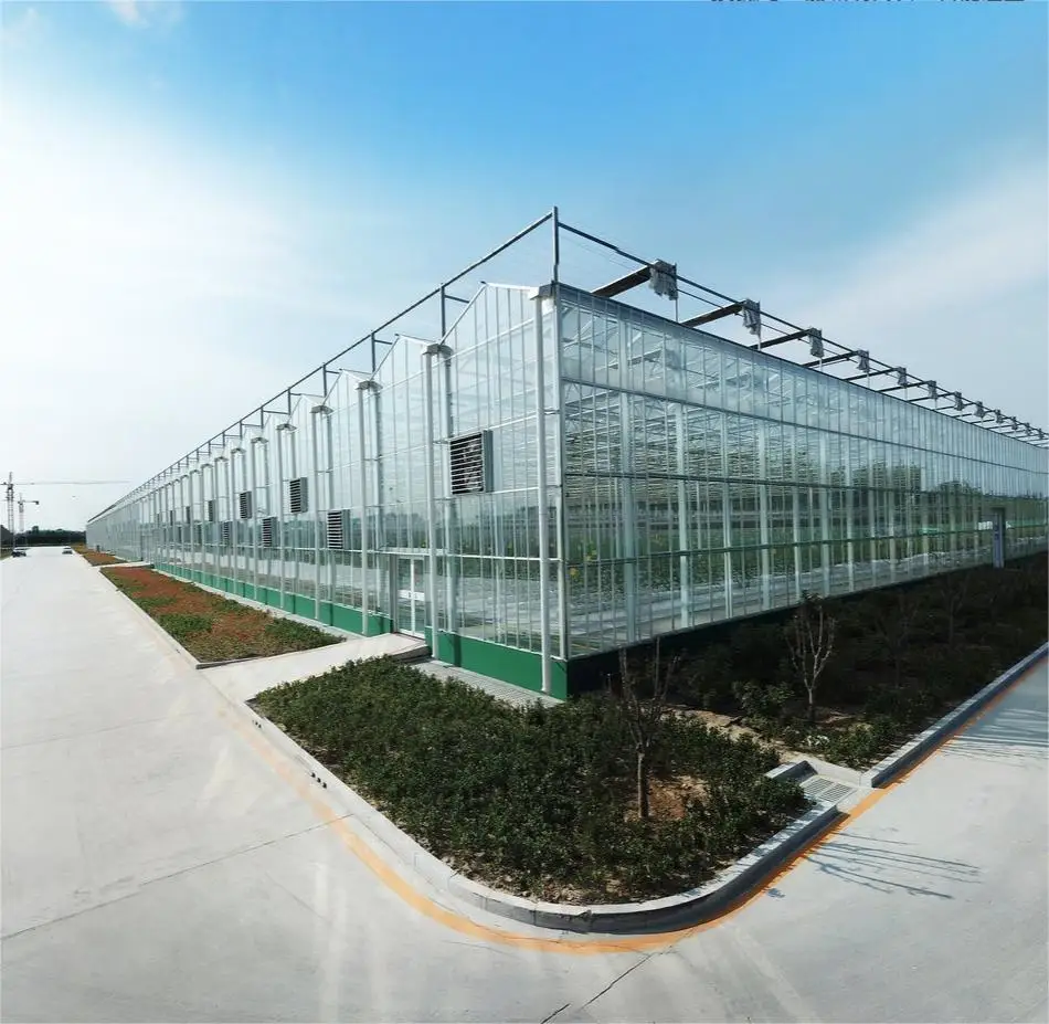 Greenhouse Construction/ Low Price Commercial/ Professional  Glass Agricultural Greenhouse  For Sale