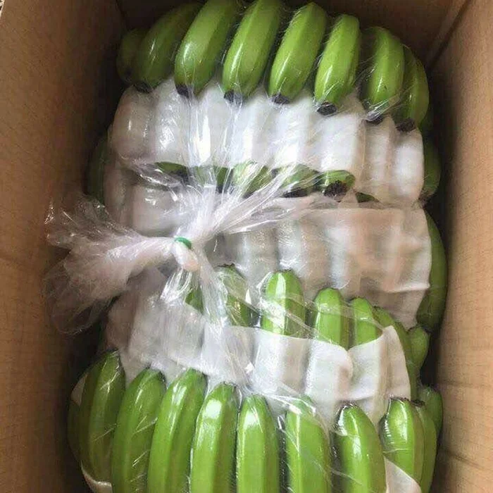 Hot Selling Tropical Cavendish Banana