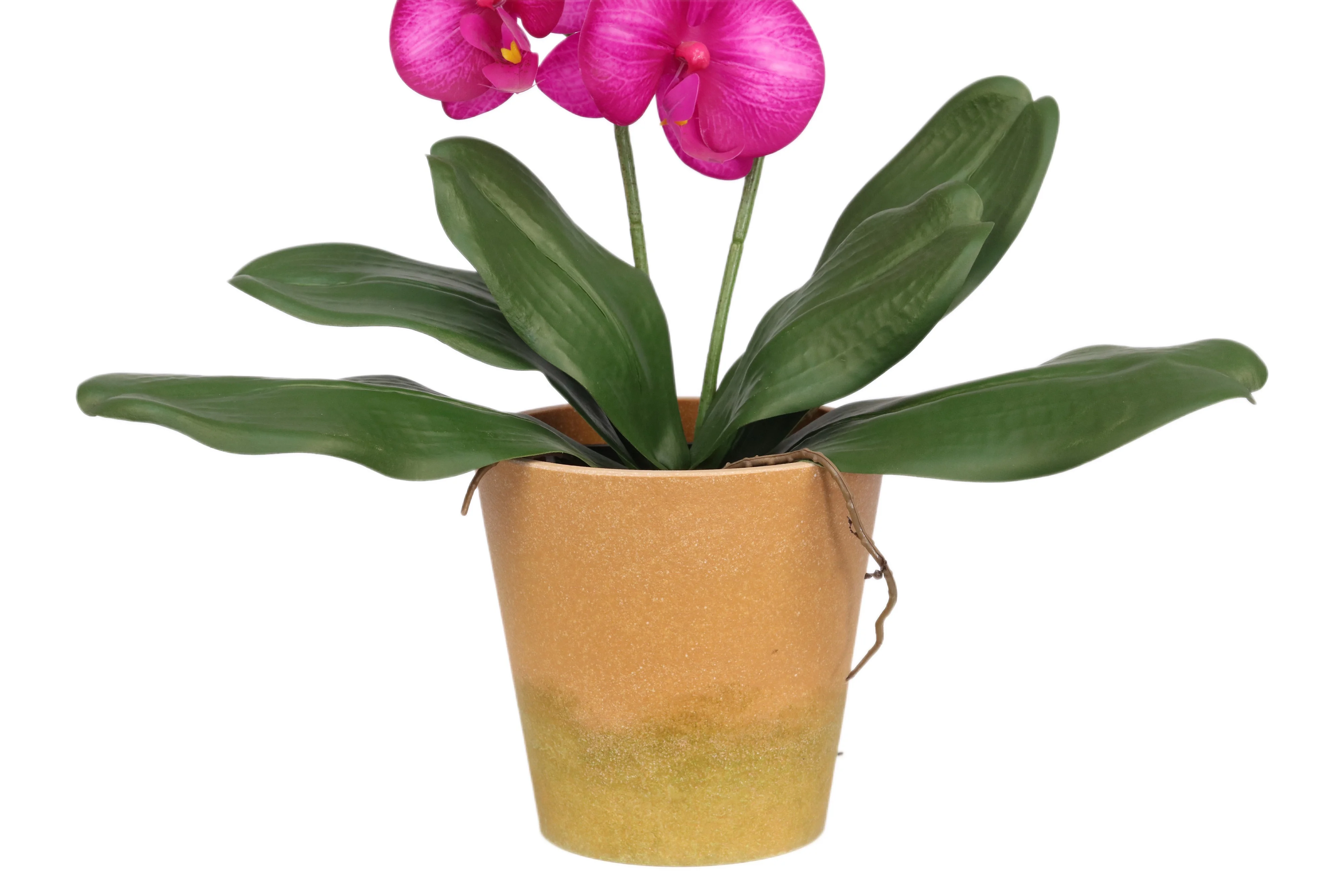 wholesale silk simulation orchid flower arrangements artificial phalaenopsis orchids flasks
