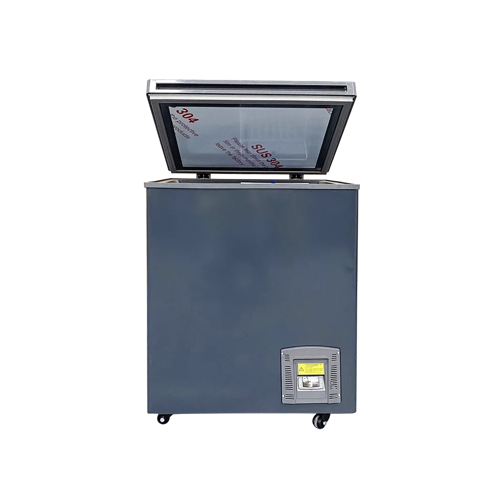 -60C New Style 110L Home Low Working Noise Ultra Low Temperature Chest Freezer DW-60W110