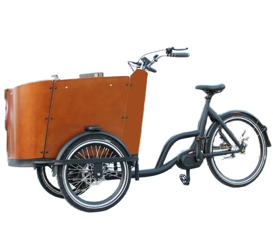 Mid-drive motor with Aluminium bike frame cargo  bike tricycle for sale