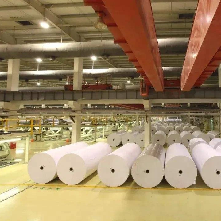 Famous China Factory CHEN MING Paper Mill Selling CHEN MING ART PAPER