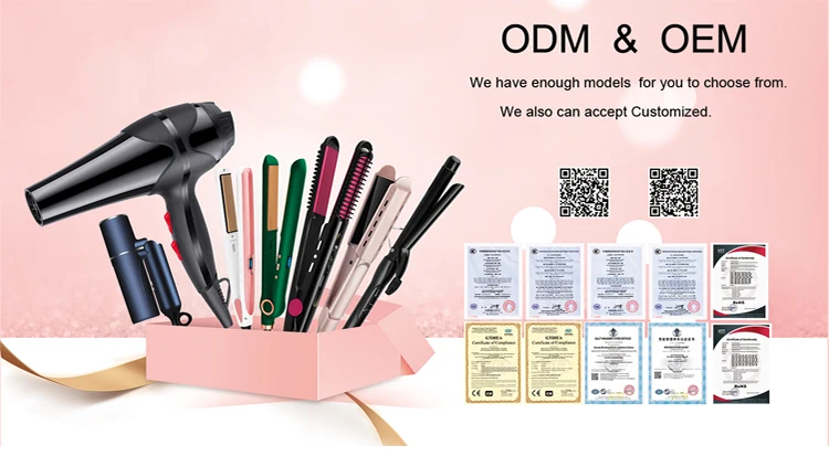 Wholesale compact and portable Travel Family Hair Blower