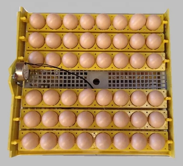 96 eggs cheap mini egg incubator for sale/ZH-96 mini incubator for hatching chicken eggs