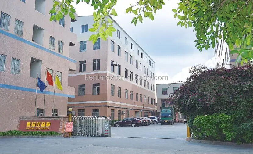 plate amplifier Super Bass Mini Hi-Fi Stereo Power Amplifier for KTV karaoke usb audio speaker