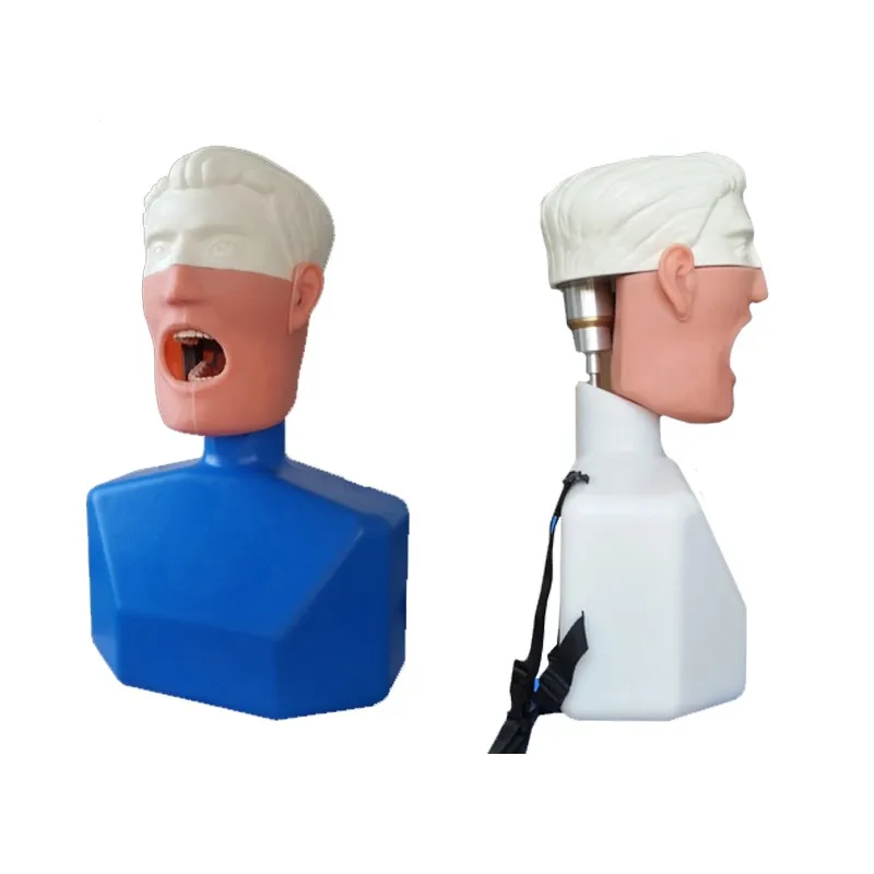 Nissin dental Oral Simulated Practice Teaching model Dummy Mannequin Simulation Simulator unit for training Manikin head price