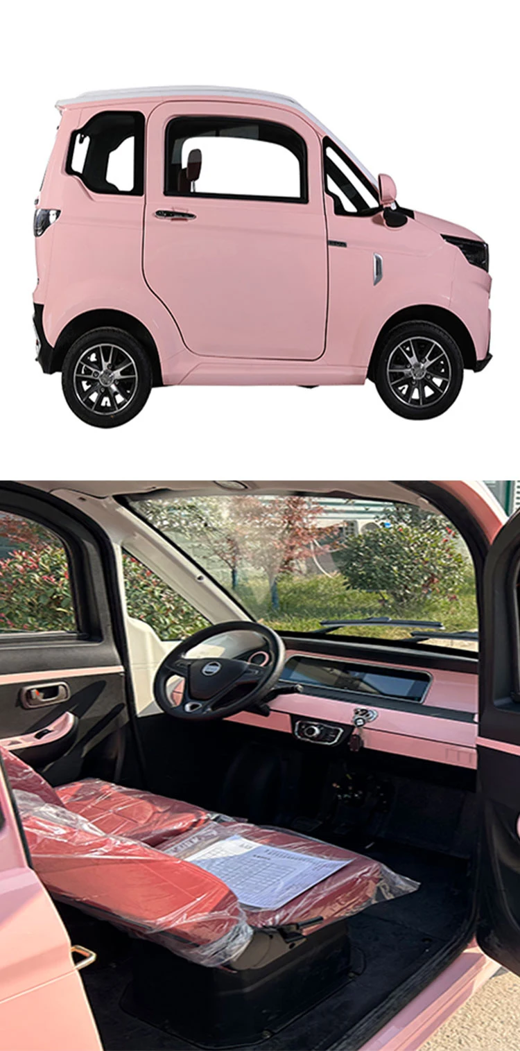 2024 EEC SKD Factory Price Electric Car fully enclosed closed Disabled Mobile Elder Man Wheelchair Passenger Electric Vehicle