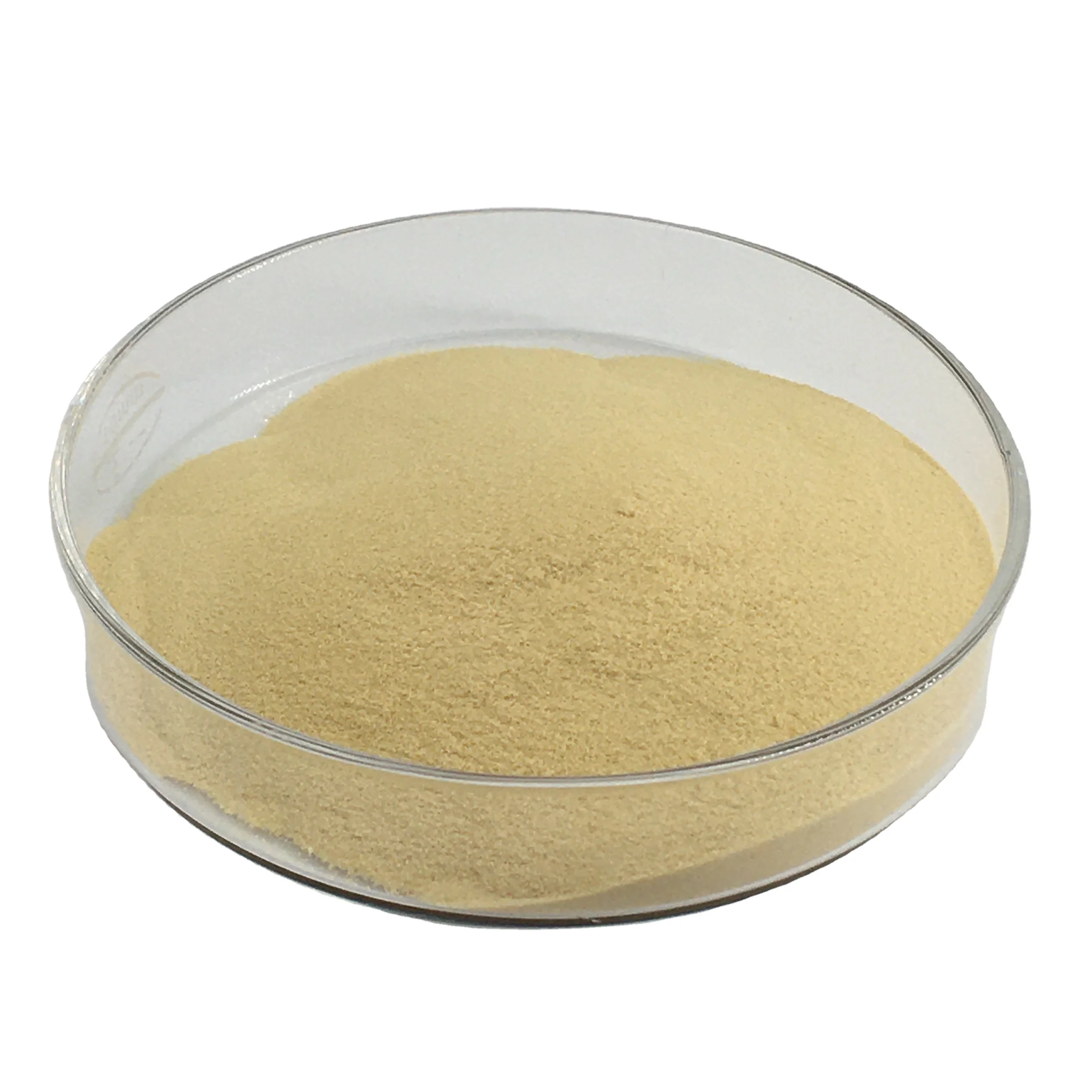 High Quality TG Enzyme Transglutaminase CAS 300711-04-0 TG