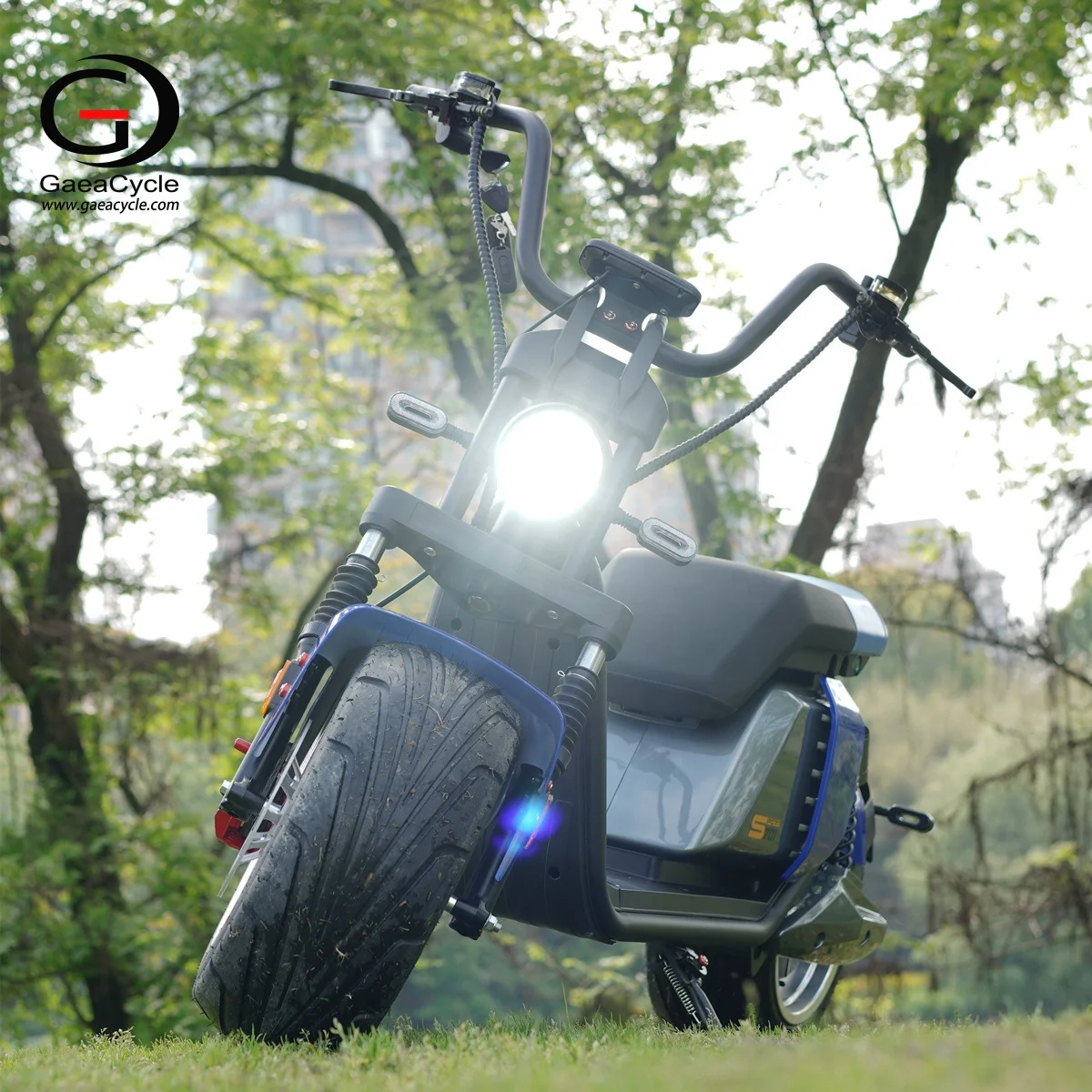 Europa Warehouse Gaea Citycoco Sport 701 EEC Electric Scooter 3000w 60v 30ah with High Speed 70km/h