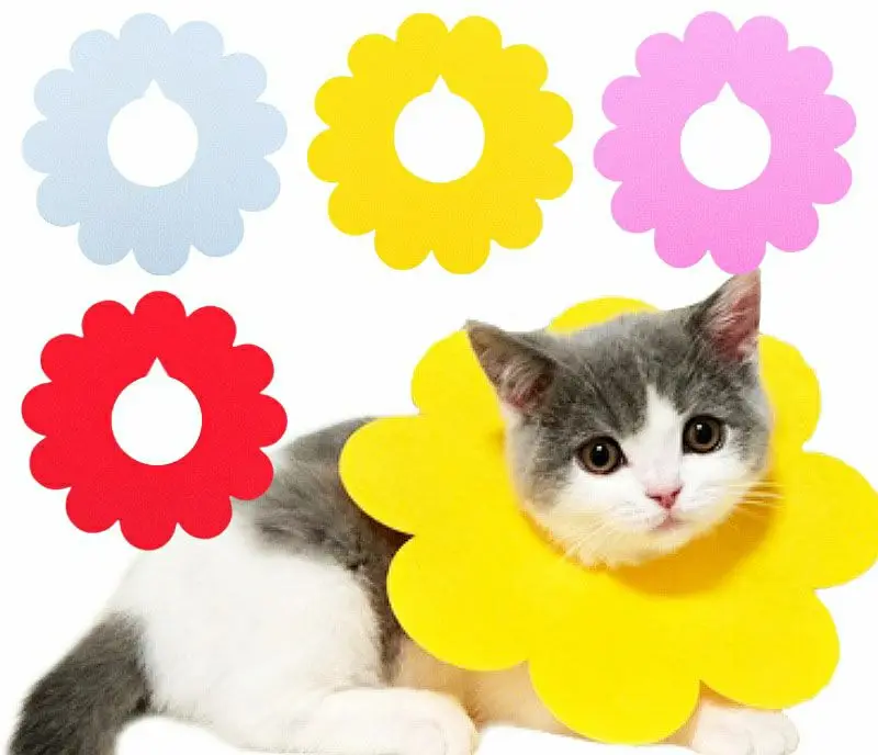 New design felt cute flower cat protection collar dog anti bite and lick pet product pet anti bite colar