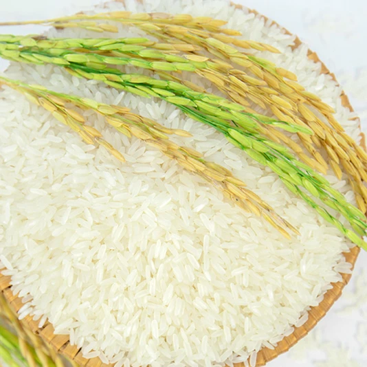 Лучший рис (ST25) по конкурентоспособной цене/органический рис/экспорт вьетнамского риса Song Nghi