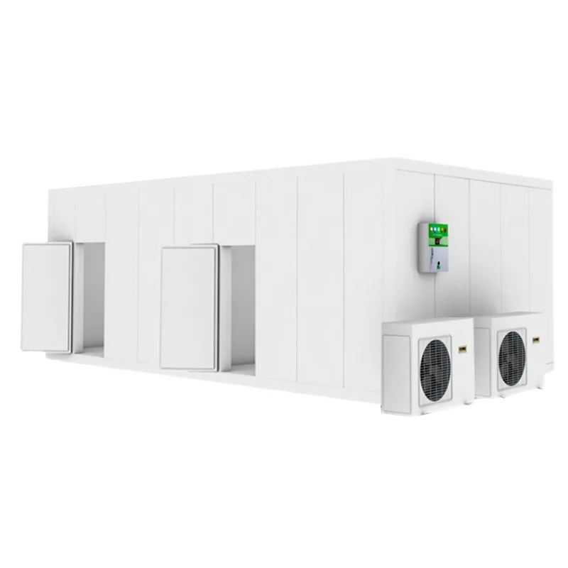 Customizable 1*1*1.5m Cold Room Frozen Meat And Fish For Industrial Cold Room