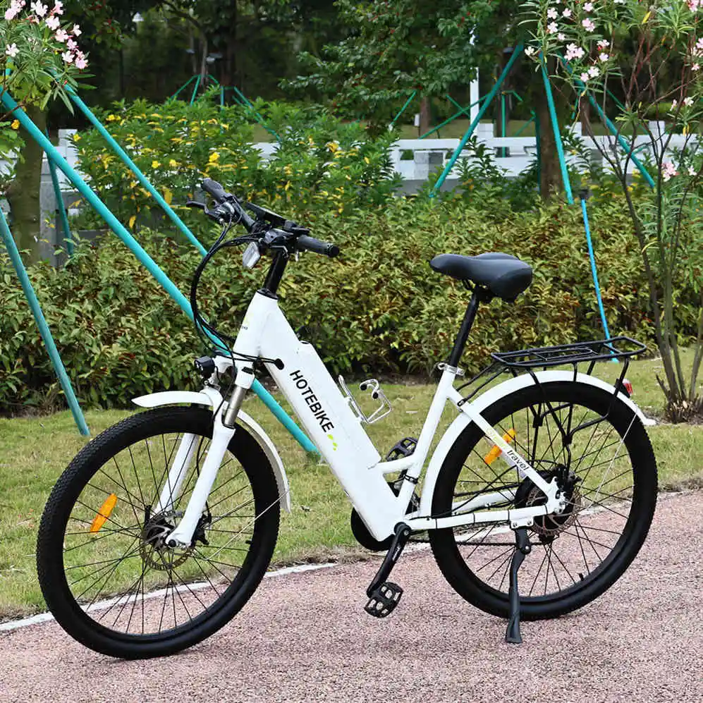 Lightweight Frame Electric City Bicycle 250W 36V 10Ah 7 Speed Gears Disc Brake Brushless Alloy Aluminum Frame Electric Bike