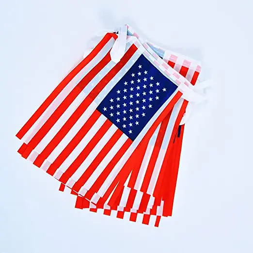 Wholesale Customized High Quality 100% Polyester Fabric International American String Flag USA Natioanl Bunting Banner