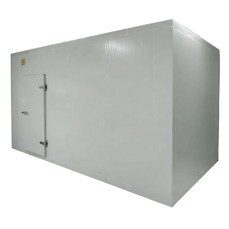 Best Selling Walk In Cold Storage Room For Food Meat Fish With Cam Lock Panels