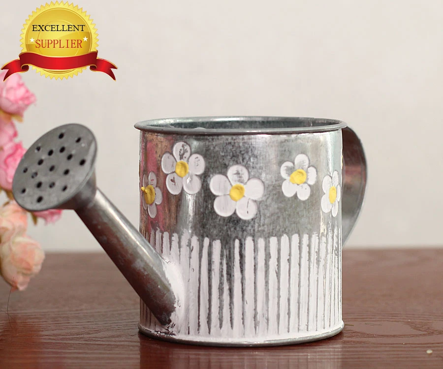 Plastic water  plants engravable watering    small plastic stainless watering  half gallon watering can