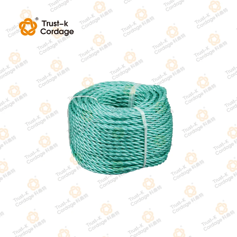 PP Danline Rope Marine Rope  3mm-60mm with high quality and best price