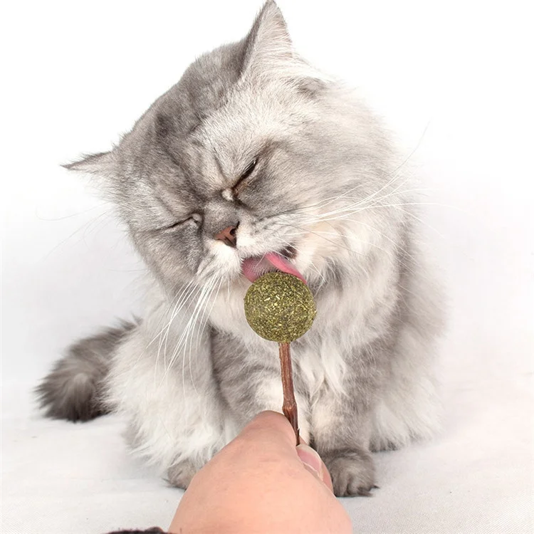 2022 Custom Personalized Pet Different Shape Promote Digestion Cat Mint Lollipop Catnip Toys Wholesale In Stock Pet Products