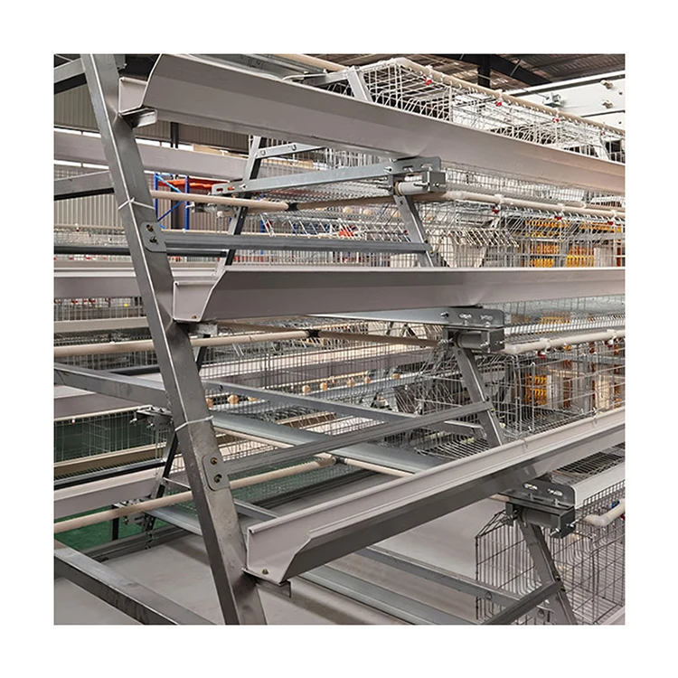 H Type Automatic Chicken Equipment Battery Cage System For Egg Laying Poultry Farming