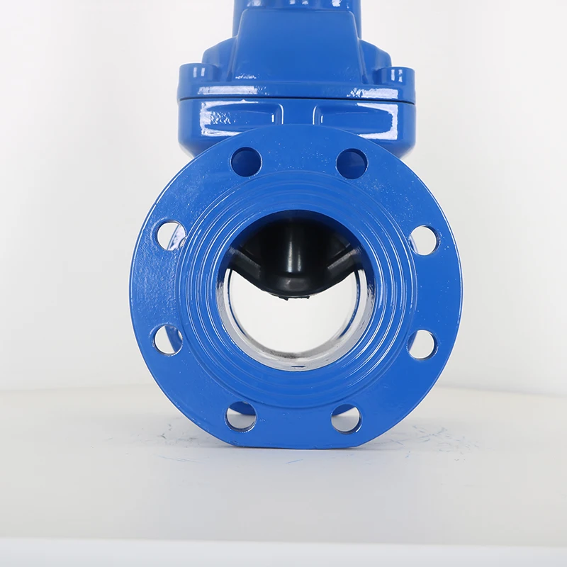 BS Z41X-10/16Q Factory Direct Ductile Iron Flange Type Water Seal Gate Valve Rising Stem Soft Seal Handwheel Os&y Gate Valve