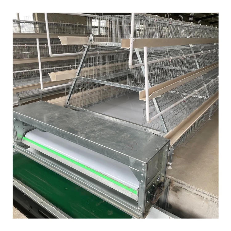 salable  semiautomatic poultry equipment  Remote control    Hot galvanized wire type A   chicken cage for sell in Dubai