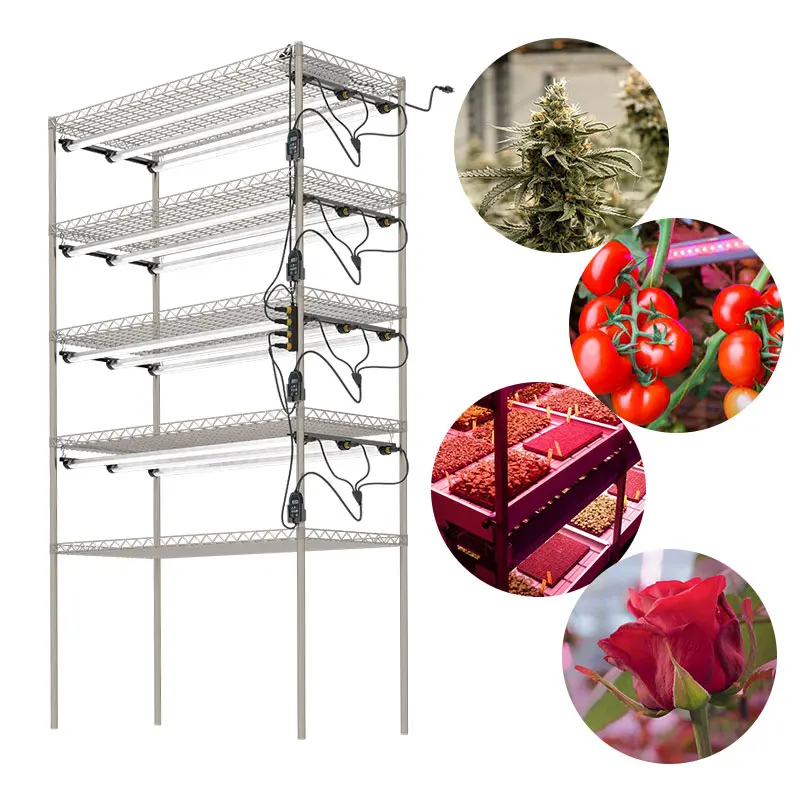 Full Spectrum LED Plant Lights for Indoor Plants Micro Greens  medical seedlings Bloom LED Grow Lights