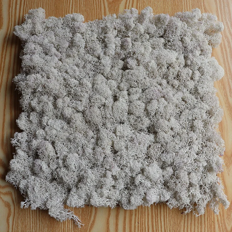 Factory high quality Interior office wedding wall decoration real natural moss 5 6cm preserved reindeer moss panel