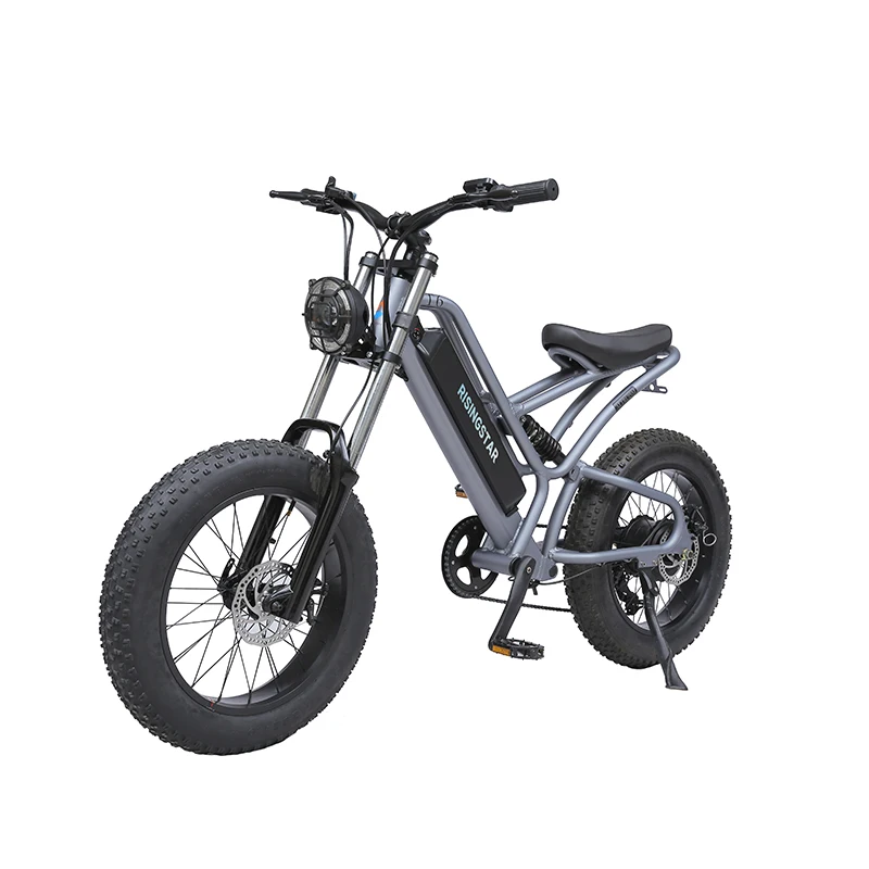 Dropship Smlro Electric Retro ebike Motor Cargo E Bike 7 Speed 20inch Fat tire Snow Bike 48V 1000W 18AH Bicycle For Adult Man