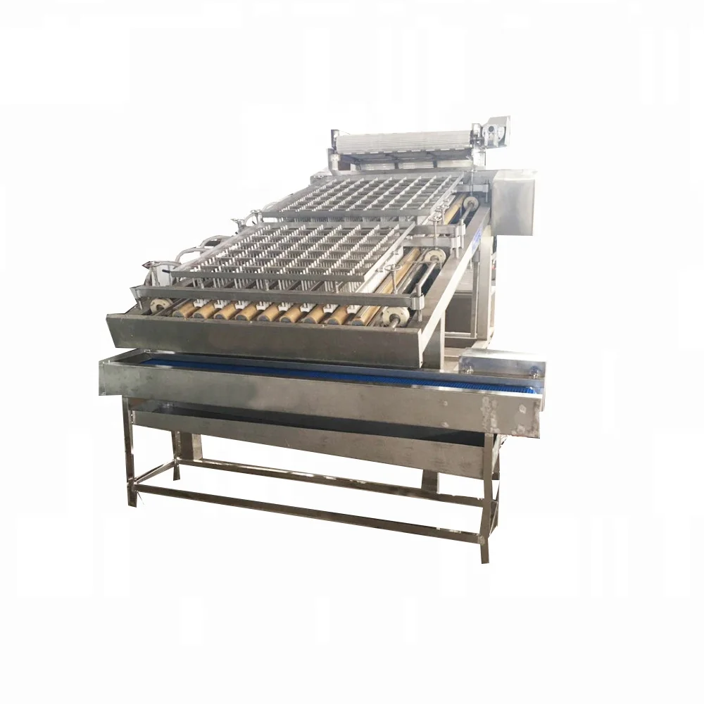 Solution for processing shrimp, industrial shrimp feeding peeling machine on sale, shrimp process line